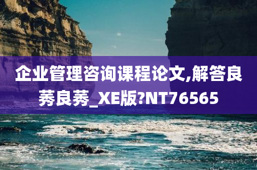 企业管理咨询课程论文,解答良莠良莠_XE版?NT76565