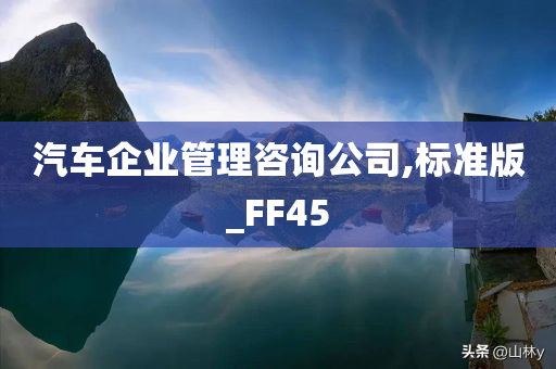 汽车企业管理咨询公司,标准版_FF45