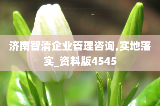 济南智清企业管理咨询,实地落实_资料版4545