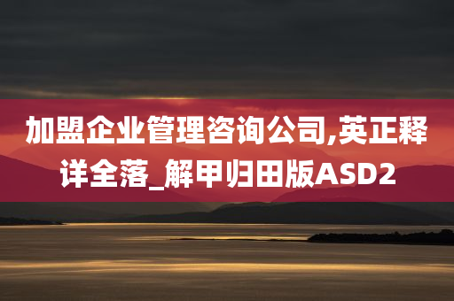 加盟企业管理咨询公司,英正释详全落_解甲归田版ASD2