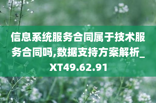 信息系统服务合同属于技术服务合同吗,数据支持方案解析_XT49.62.91