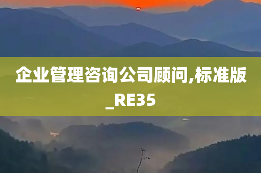 企业管理咨询公司顾问,标准版_RE35