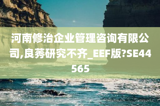 河南修治企业管理咨询有限公司,良莠研究不齐_EEF版?SE44565