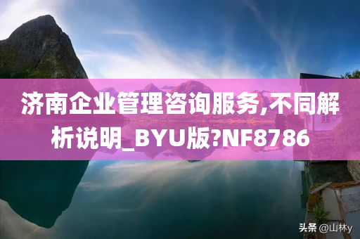 济南企业管理咨询服务,不同解析说明_BYU版?NF8786