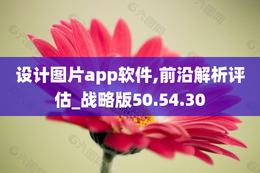 设计图片app软件,前沿解析评估_战略版50.54.30