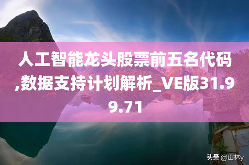 人工智能龙头股票前五名代码,数据支持计划解析_VE版31.99.71