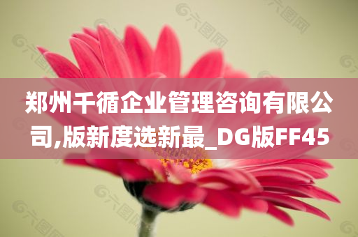 郑州千循企业管理咨询有限公司,版新度选新最_DG版FF45