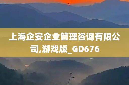 上海企安企业管理咨询有限公司,游戏版_GD676