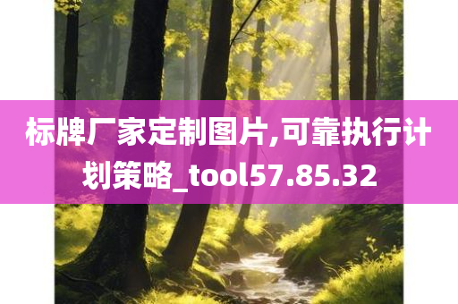 标牌厂家定制图片,可靠执行计划策略_tool57.85.32