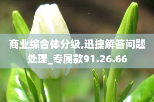 商业综合体分级,迅捷解答问题处理_专属款91.26.66