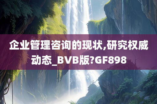 企业管理咨询的现状,研究权威动态_BVB版?GF898