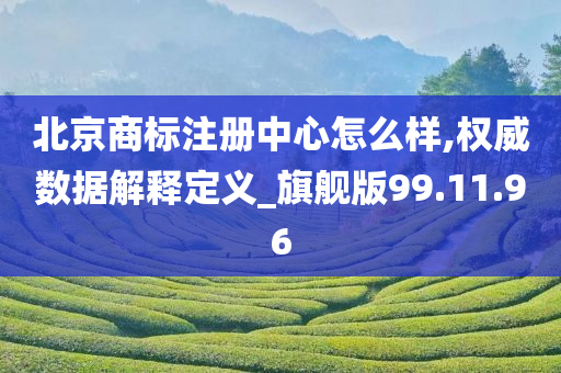 北京商标注册中心怎么样,权威数据解释定义_旗舰版99.11.96