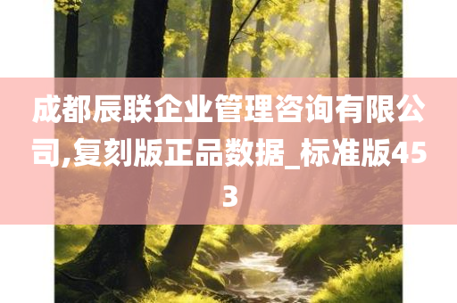 成都辰联企业管理咨询有限公司,复刻版正品数据_标准版453