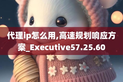 代理ip怎么用,高速规划响应方案_Executive57.25.60