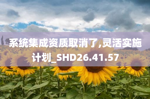 系统集成资质取消了,灵活实施计划_SHD26.41.57