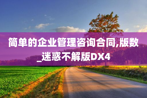 简单的企业管理咨询合同,版数_迷惑不解版DX4