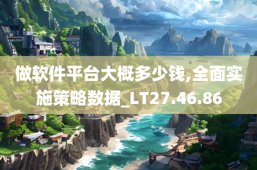 做软件平台大概多少钱,全面实施策略数据_LT27.46.86