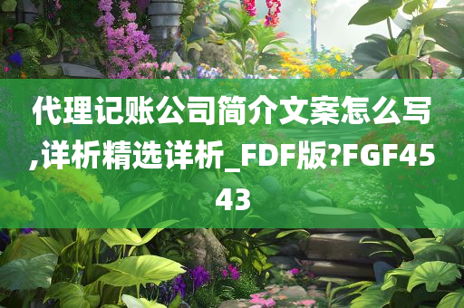 代理记账公司简介文案怎么写,详析精选详析_FDF版?FGF4543