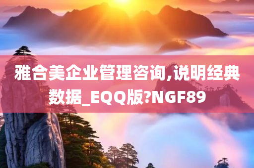 雅合美企业管理咨询,说明经典数据_EQQ版?NGF89