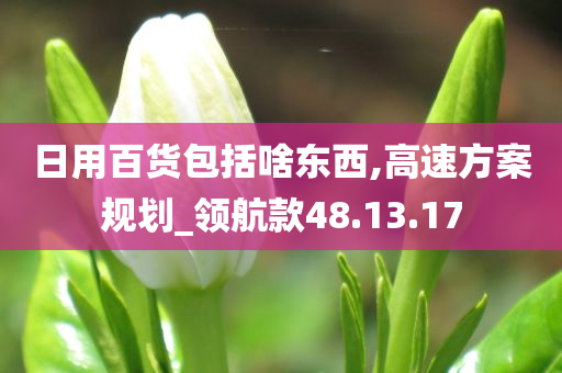 日用百货包括啥东西,高速方案规划_领航款48.13.17