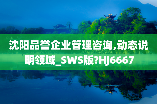 沈阳品誉企业管理咨询,动态说明领域_SWS版?HJ6667