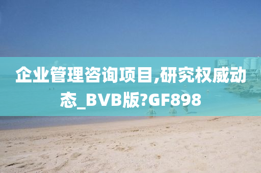 企业管理咨询项目,研究权威动态_BVB版?GF898