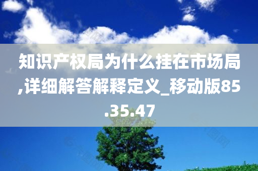 知识产权局为什么挂在市场局,详细解答解释定义_移动版85.35.47