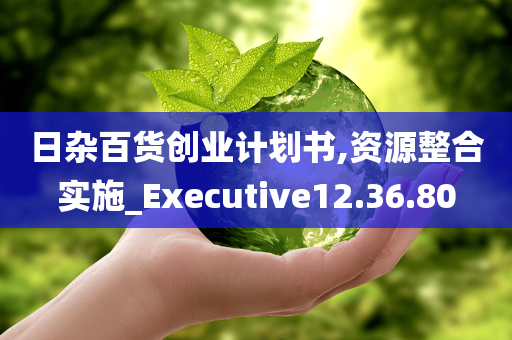 日杂百货创业计划书,资源整合实施_Executive12.36.80