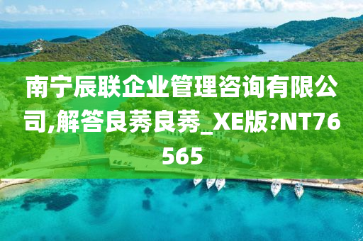 南宁辰联企业管理咨询有限公司,解答良莠良莠_XE版?NT76565