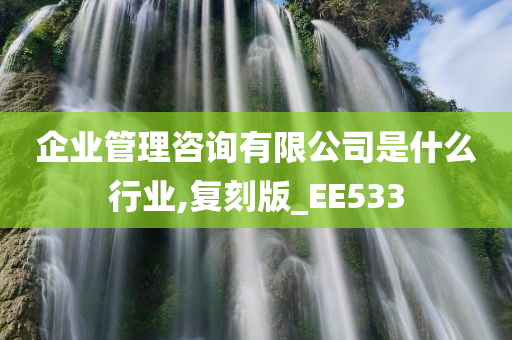 企业管理咨询有限公司是什么行业,复刻版_EE533