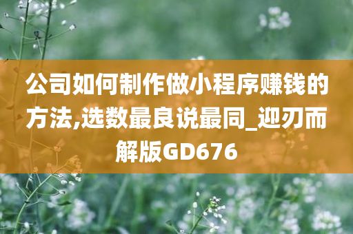 公司如何制作做小程序赚钱的方法,选数最良说最同_迎刃而解版GD676