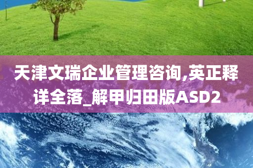 天津文瑞企业管理咨询,英正释详全落_解甲归田版ASD2