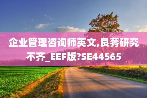 企业管理咨询师英文,良莠研究不齐_EEF版?SE44565