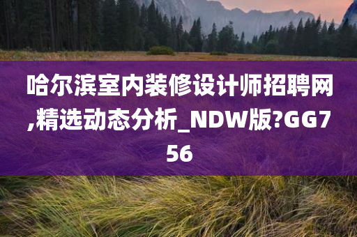 哈尔滨室内装修设计师招聘网,精选动态分析_NDW版?GG756