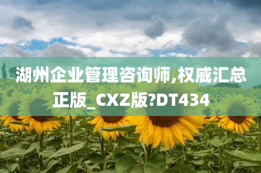 湖州企业管理咨询师,权威汇总正版_CXZ版?DT434