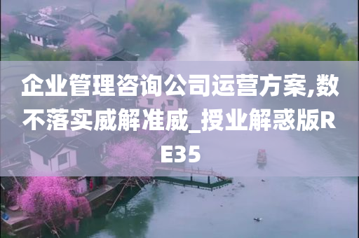 企业管理咨询公司运营方案,数不落实威解准威_授业解惑版RE35