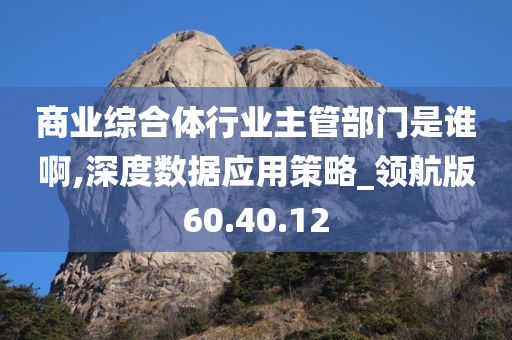 商业综合体行业主管部门是谁啊,深度数据应用策略_领航版60.40.12