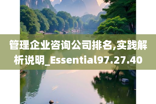 管理企业咨询公司排名,实践解析说明_Essential97.27.40