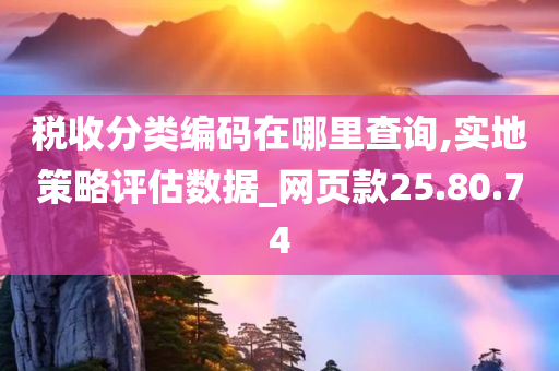 税收分类编码在哪里查询,实地策略评估数据_网页款25.80.74