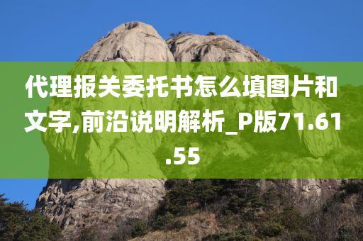 代理报关委托书怎么填图片和文字,前沿说明解析_P版71.61.55