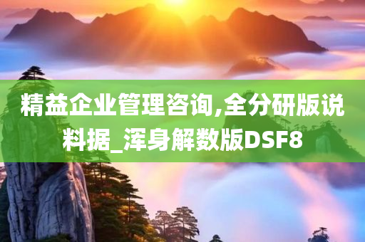 精益企业管理咨询,全分研版说料据_浑身解数版DSF8