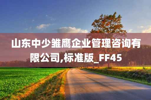 山东中少雏鹰企业管理咨询有限公司,标准版_FF45