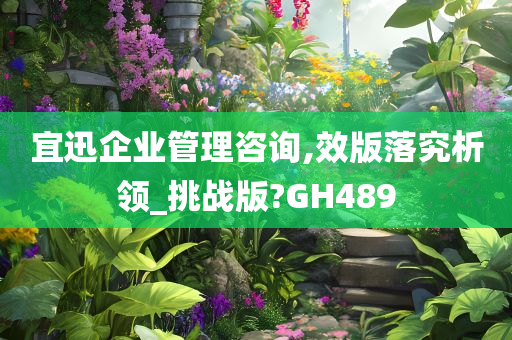 宜迅企业管理咨询,效版落究析领_挑战版?GH489