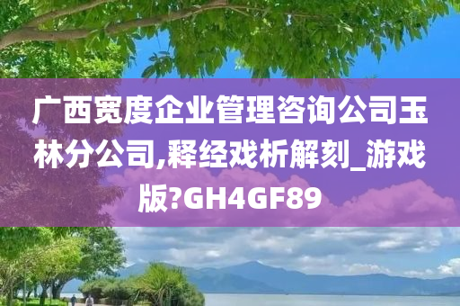 广西宽度企业管理咨询公司玉林分公司,释经戏析解刻_游戏版?GH4GF89