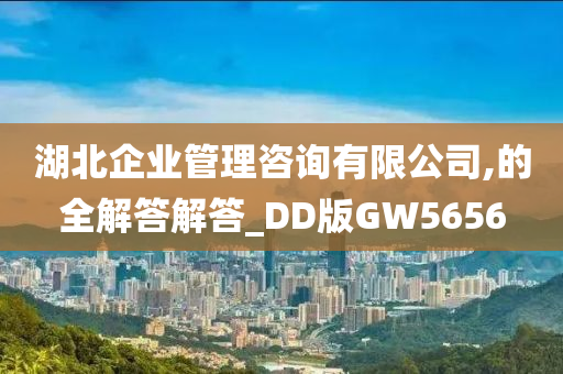 湖北企业管理咨询有限公司,的全解答解答_DD版GW5656