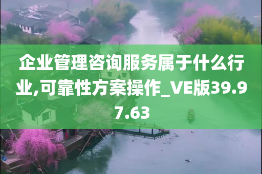 企业管理咨询服务属于什么行业,可靠性方案操作_VE版39.97.63