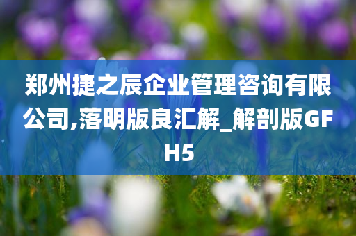 郑州捷之辰企业管理咨询有限公司,落明版良汇解_解剖版GFH5