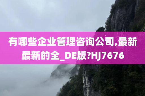 有哪些企业管理咨询公司,最新最新的全_DE版?HJ7676