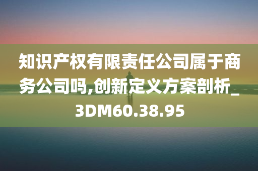 知识产权有限责任公司属于商务公司吗,创新定义方案剖析_3DM60.38.95