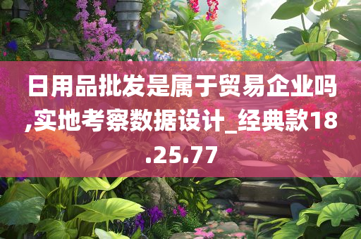 日用品批发是属于贸易企业吗,实地考察数据设计_经典款18.25.77